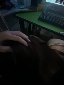 原创网吧让学妹口交接着手铐后入