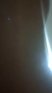 女上摇摆
