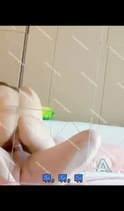 落地镜前各种姿势调教暴操某高校女研究生（附上聊天记录）