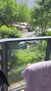 极品美腿人妻空姐漏天阳台露出制服调教（2）