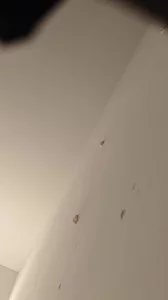 狠狠操出轨少妇